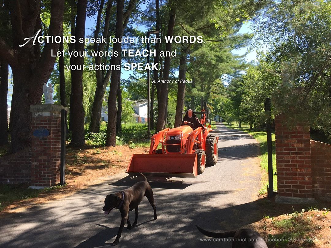 Slaves of the Immaculate Heart of Mary