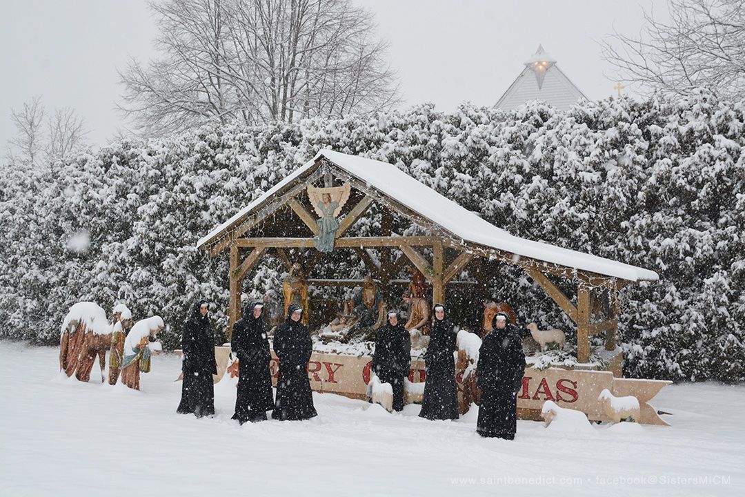 Slaves of the Immaculate Heart of Mary