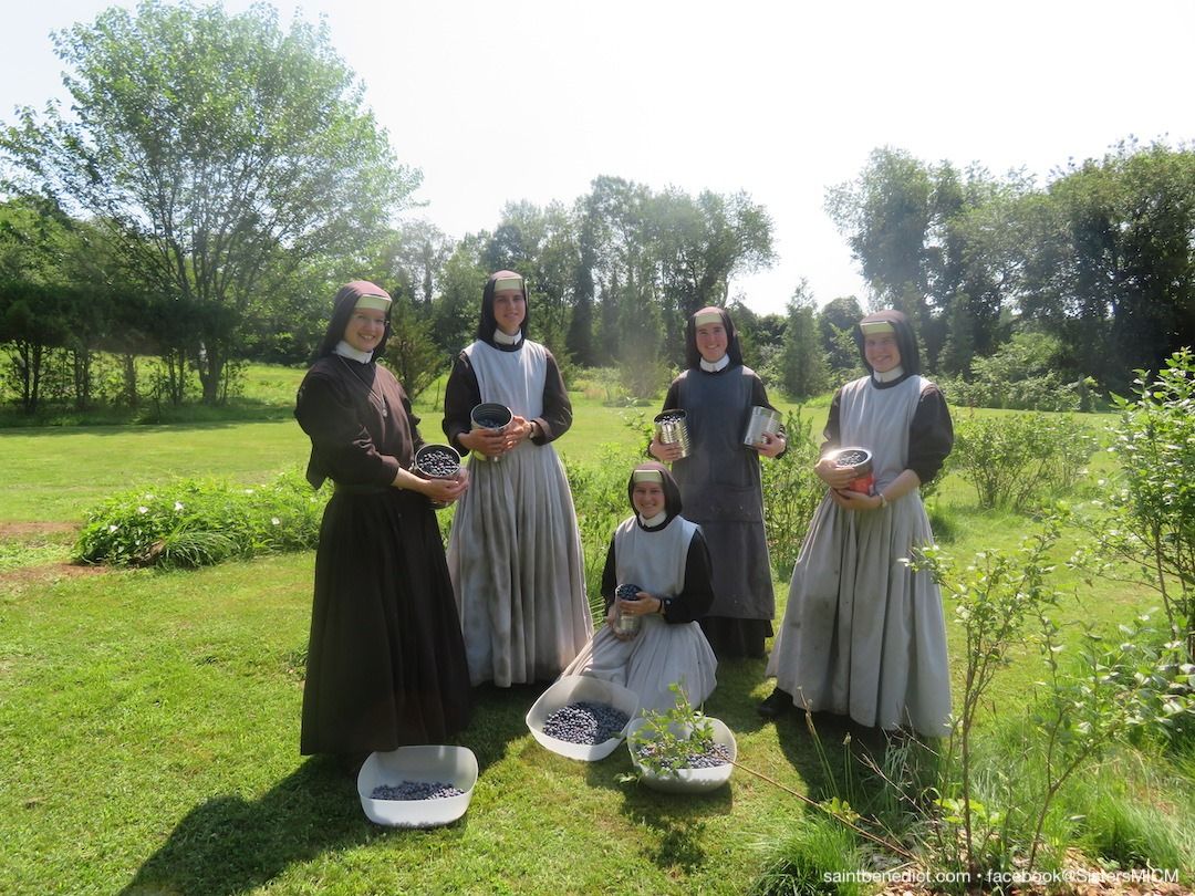 Slaves of the Immaculate Heart of Mary