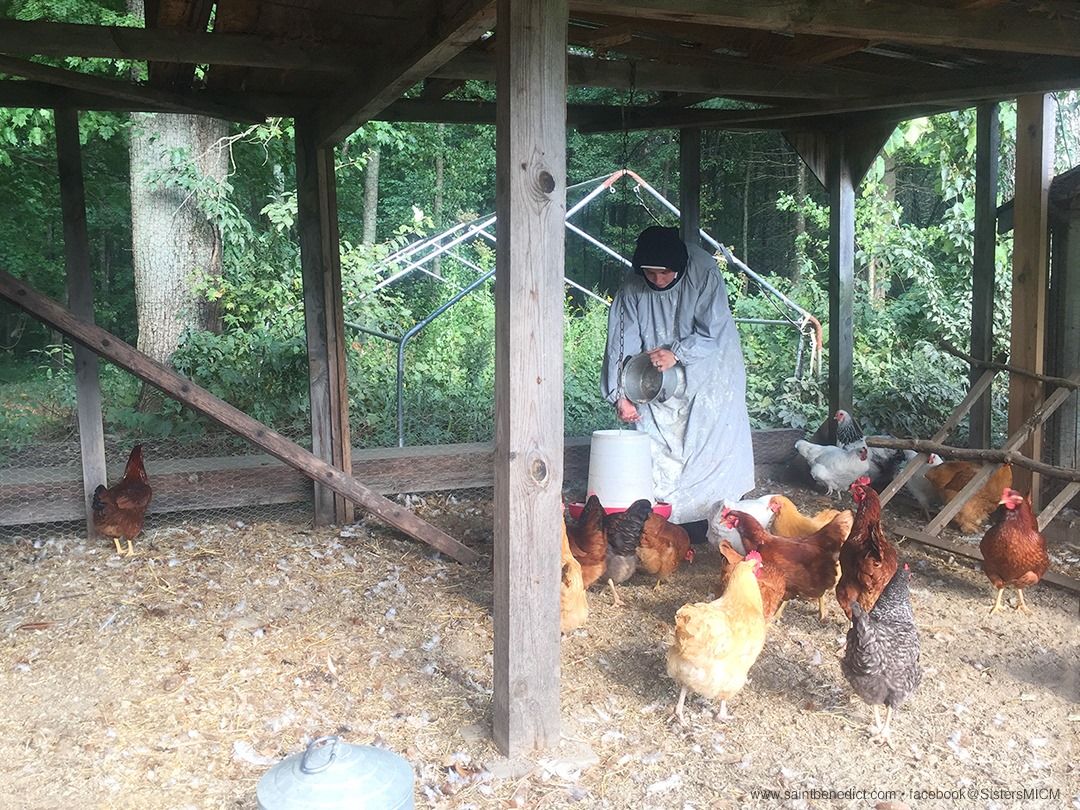 Slaves of the Immaculate Heart of Mary